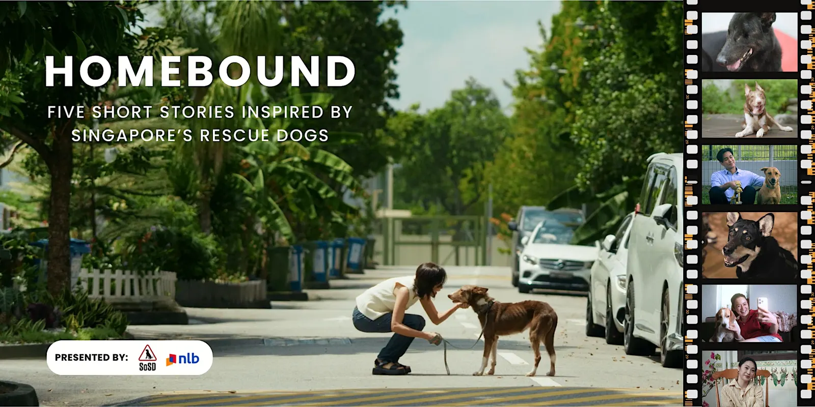 SOSD Homebound movie screening poster � five short films inspired by Singapore rescue dogs